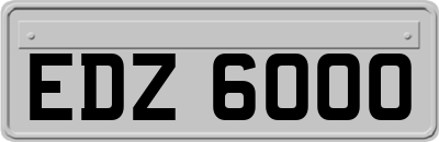 EDZ6000