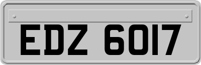 EDZ6017