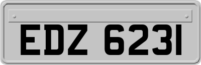 EDZ6231