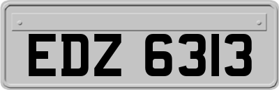 EDZ6313