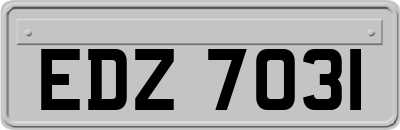 EDZ7031