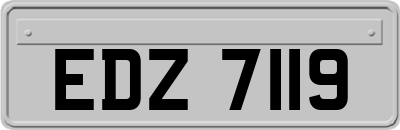 EDZ7119
