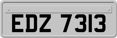 EDZ7313