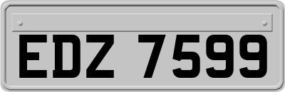 EDZ7599