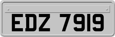 EDZ7919