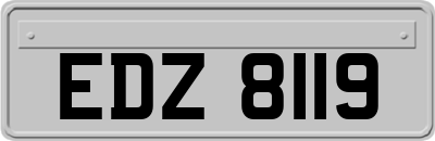 EDZ8119