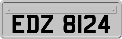 EDZ8124