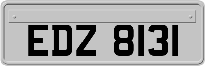 EDZ8131