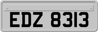 EDZ8313