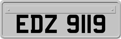 EDZ9119