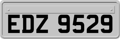 EDZ9529