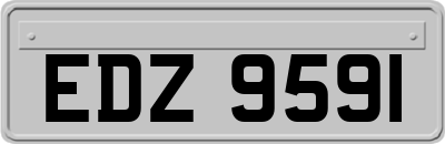 EDZ9591