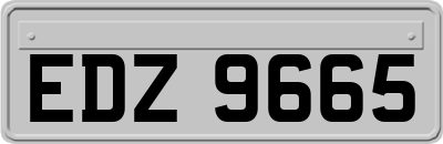 EDZ9665