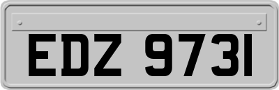 EDZ9731