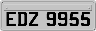 EDZ9955