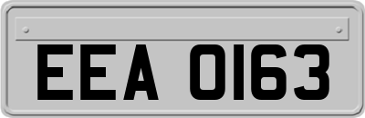 EEA0163
