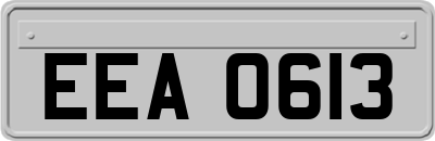 EEA0613