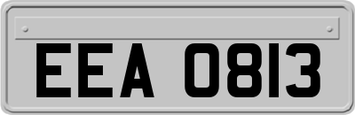 EEA0813