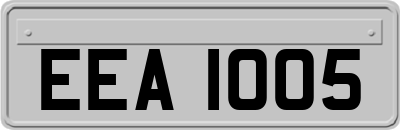 EEA1005