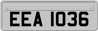 EEA1036