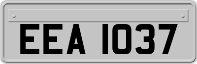 EEA1037