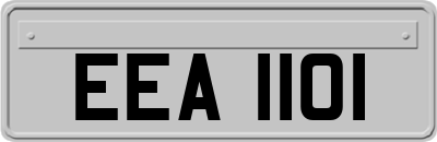 EEA1101