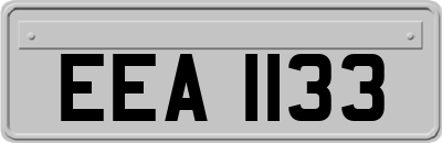 EEA1133
