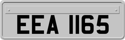 EEA1165