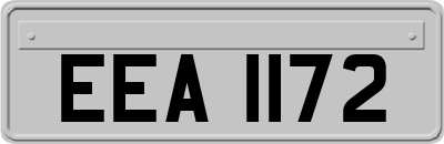 EEA1172