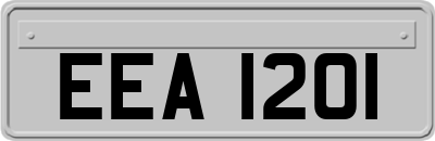 EEA1201