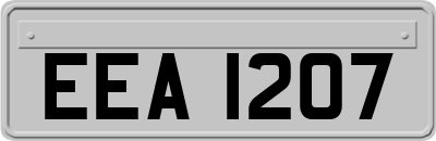 EEA1207