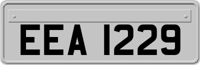 EEA1229