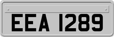 EEA1289