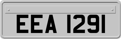 EEA1291
