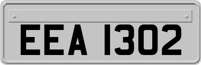 EEA1302