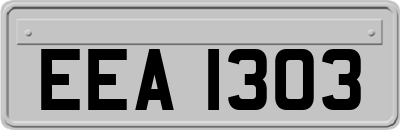 EEA1303