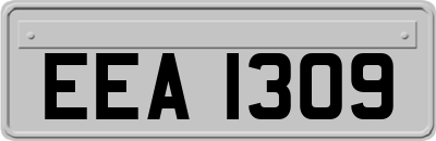 EEA1309