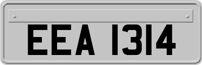 EEA1314