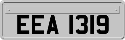 EEA1319