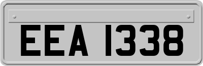 EEA1338
