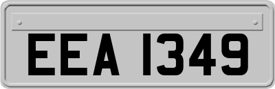 EEA1349