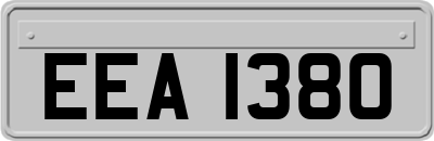 EEA1380