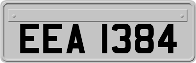 EEA1384