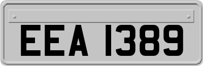 EEA1389
