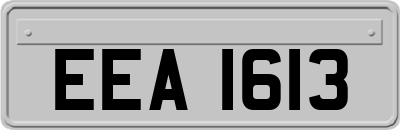 EEA1613