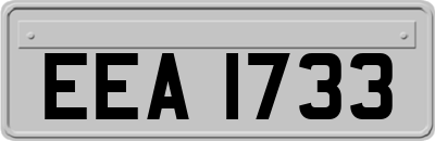 EEA1733