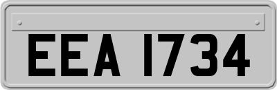 EEA1734