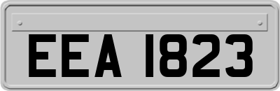 EEA1823