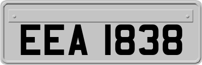 EEA1838