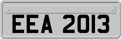 EEA2013